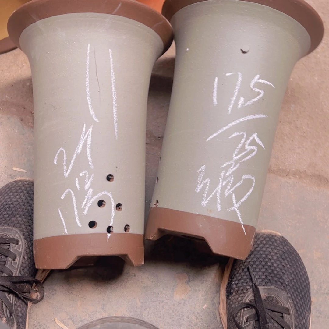 17号……………………………………………………