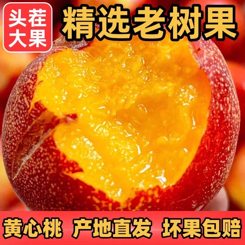 纯甜露天麻点油桃净重5斤山西现摘现发油桃新鲜当季水果脆甜包邮