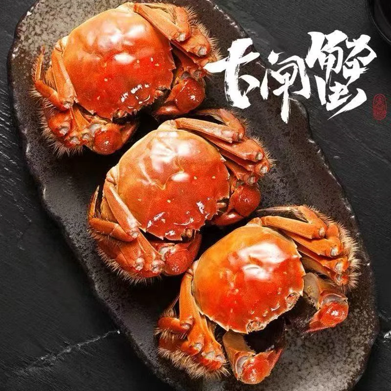 苏州活蟹阳澄醉美大闸蟹全母3.0-2.7两10只礼盒装京东冷链配送
