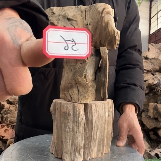 无****7紫砂噜啦啦啦啦啦啦