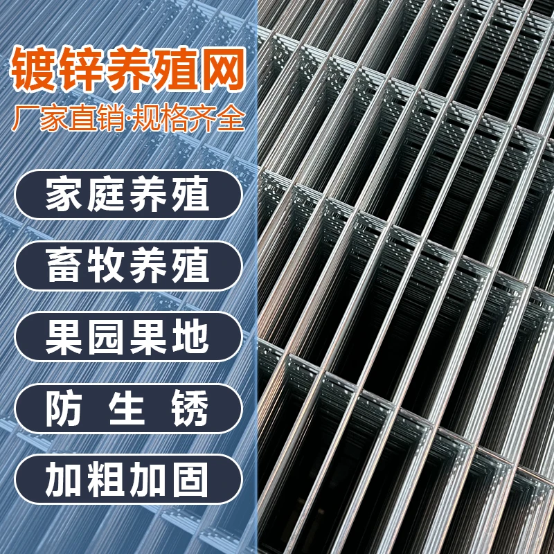 2X10孔镀锌网户外鸡鸭鹅养殖网铁丝网优质工厂现货防护网围网地网