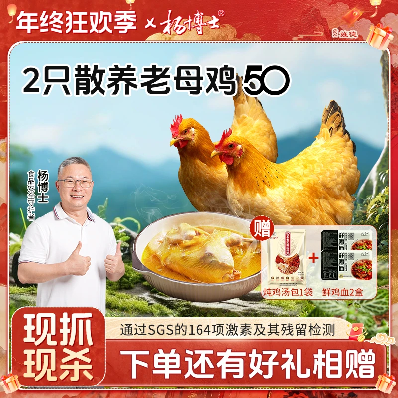 【两只老母鸡（50型-原老款）】杨博士散养土鸡新鲜现杀 包冰率不含冰
