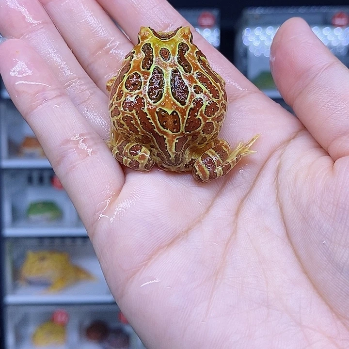 特价秒杀现货特价