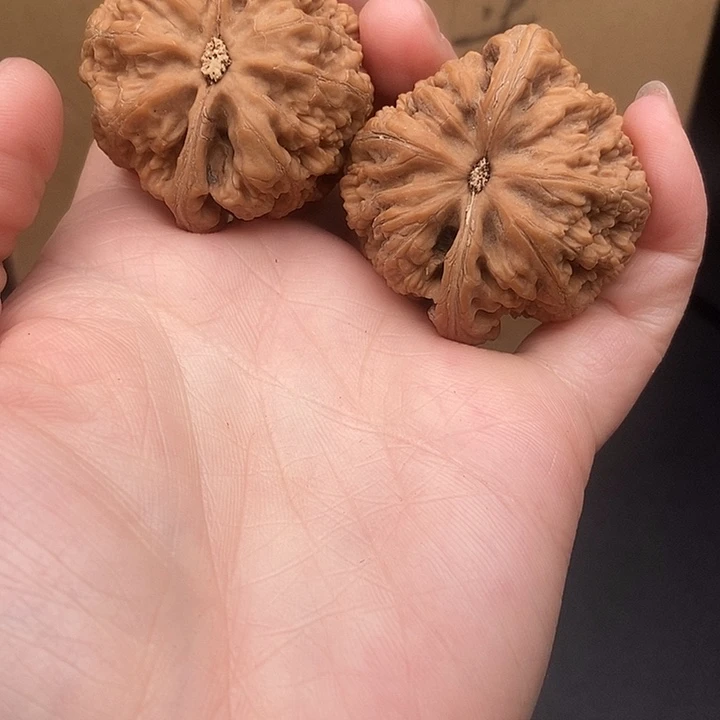 笑***生大大大大大大大粗筋歪