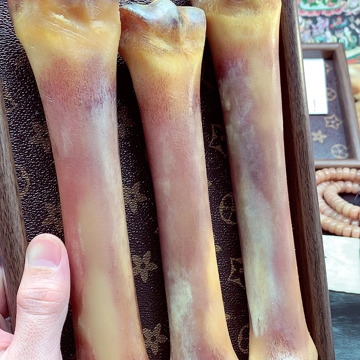 驼骨手串/手链12345的腿骨