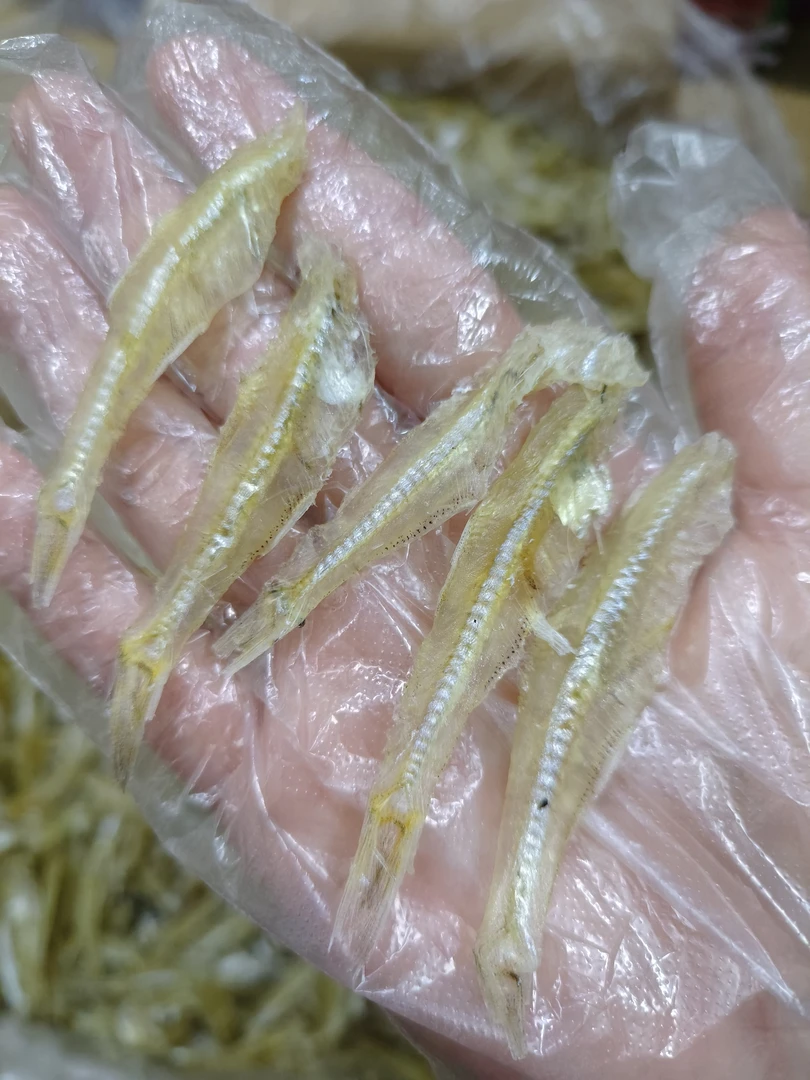广东去头干鱼脯 水晶小鱼干  淡甜干度好 炒芹菜蒜好吃