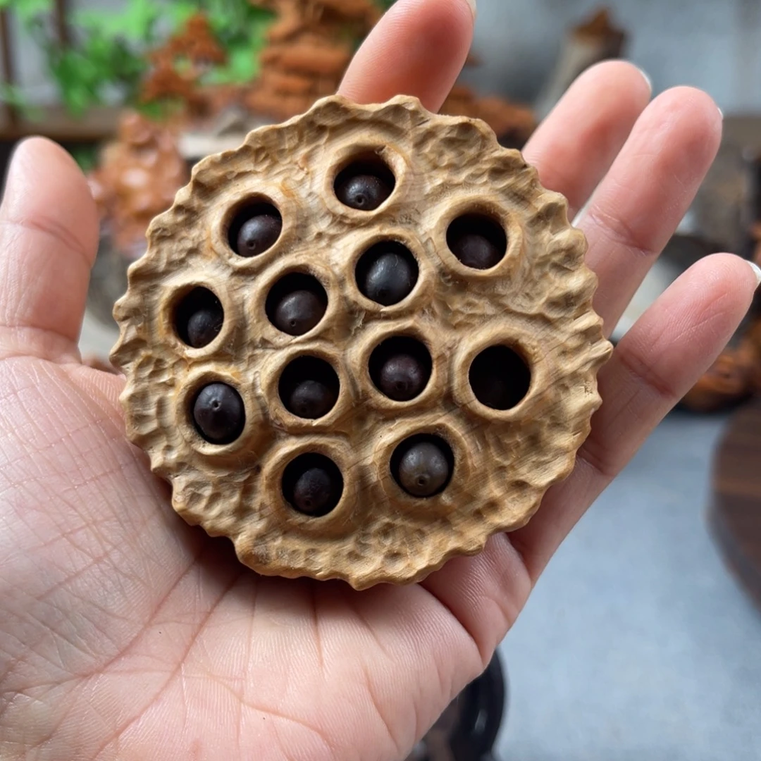 柏木（崖柏）崖柏太行山脉