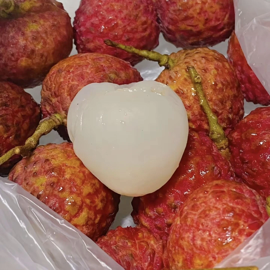 超甜多汁桂味荔枝广东高州新鲜现摘现发当季水果顺丰冷链包邮荔枝同城送