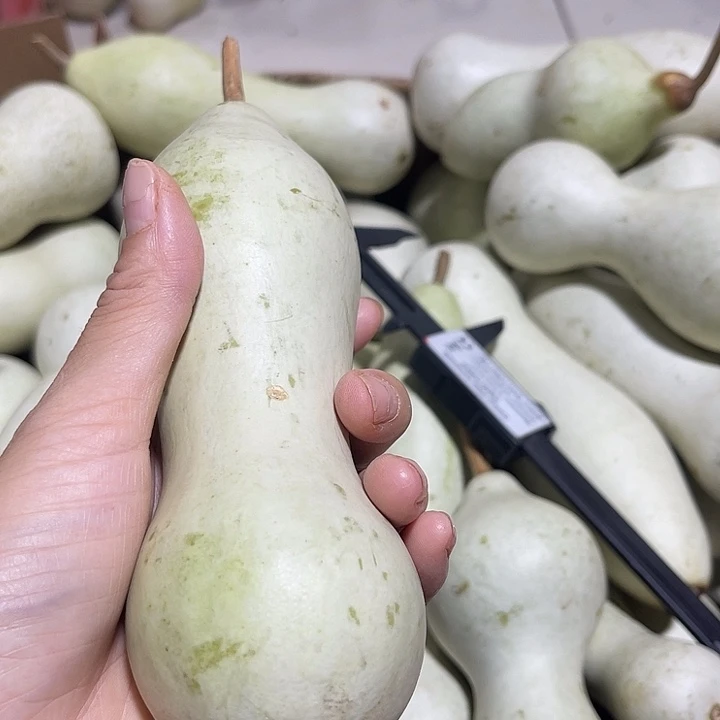 非洲紫檀（红花梨）吹*风