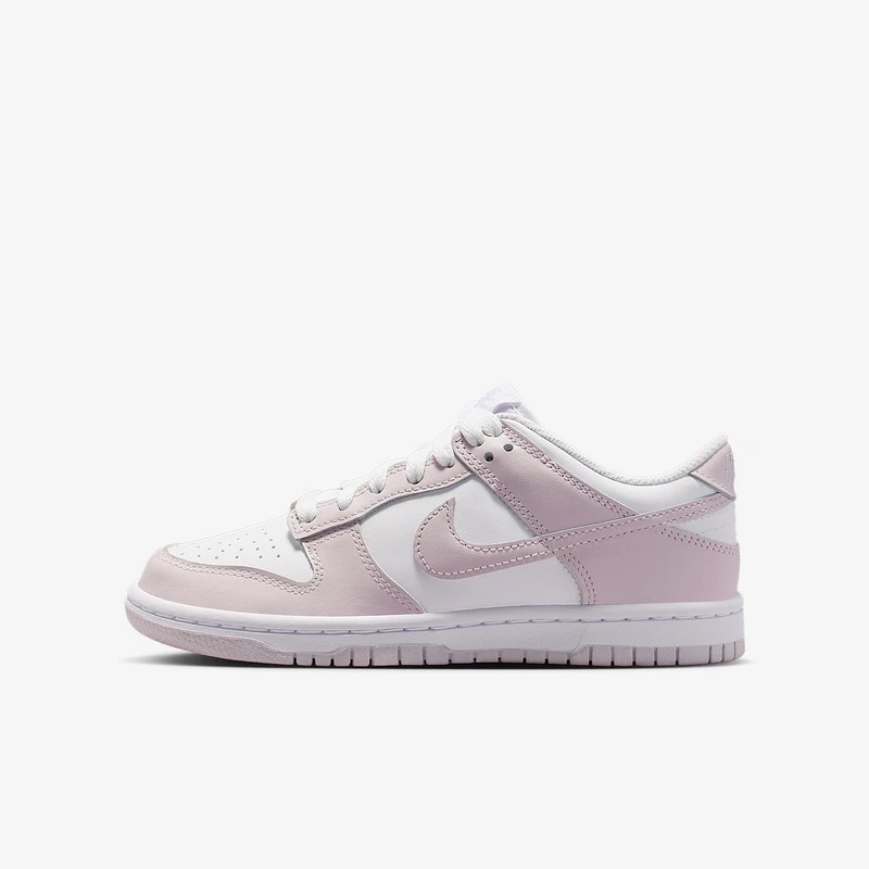 耐克（NIKE）Nike Dunk Low 大童运动鞋板鞋FB9109-128