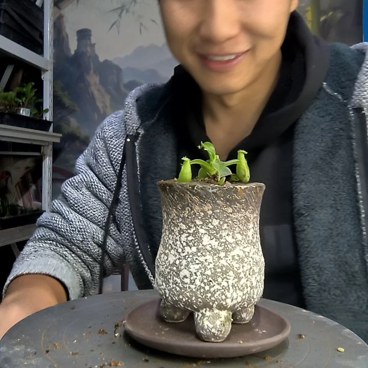 H****?中青园艺一物一拍414