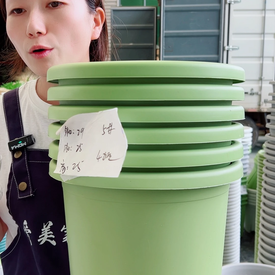 四季盆5#果绿6个无托
