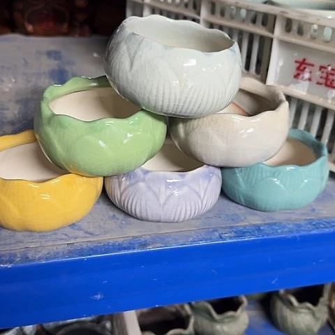 6个····全是福利····