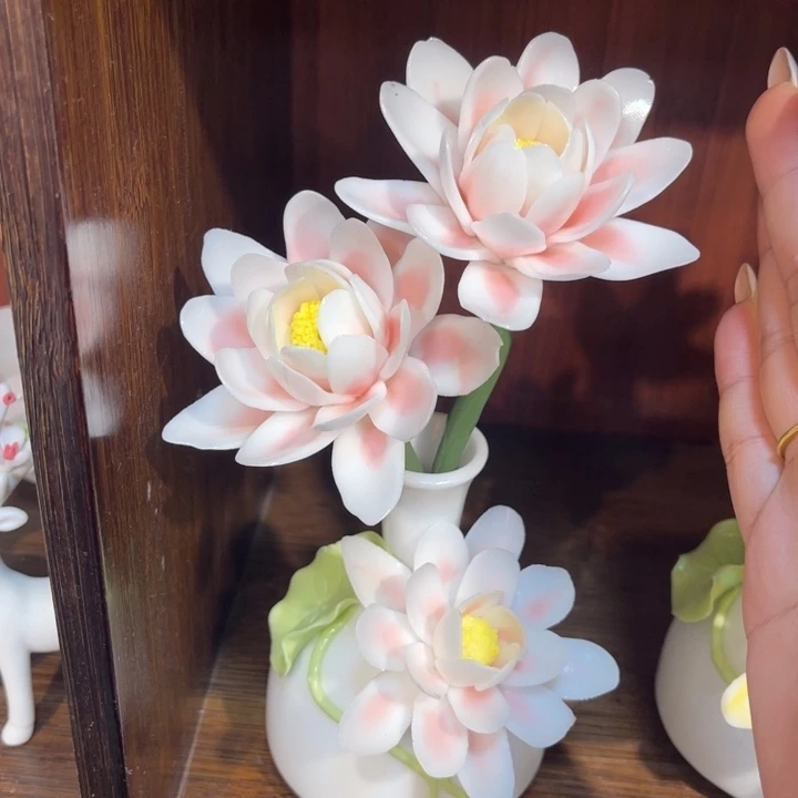 瓷片88555555555555585855