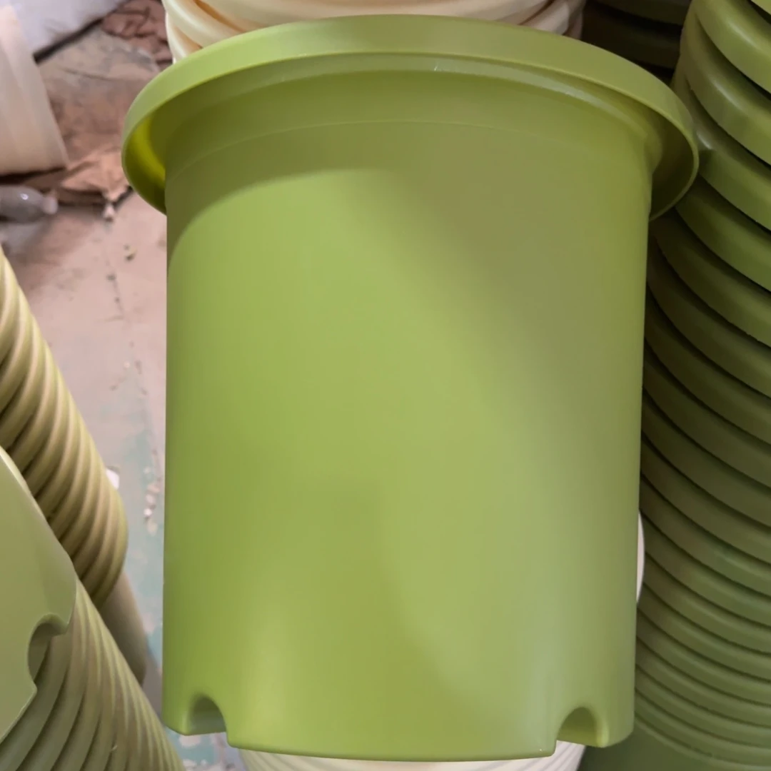 四季7#无拖果绿7个