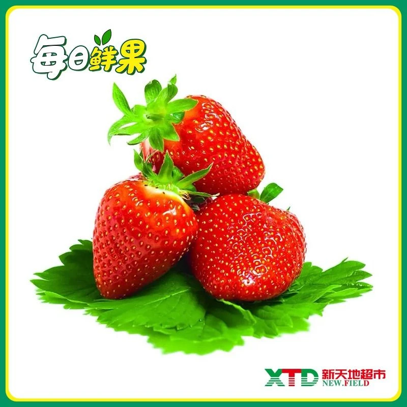 【热销水果】红颜草莓2.5-2.7斤/箱