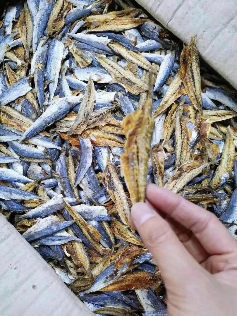 福建特产去头去尾巴浪鱼肉