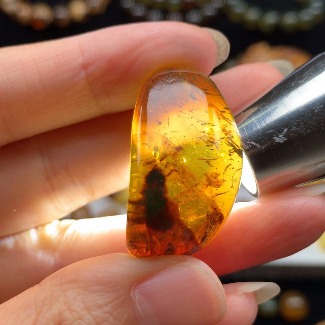 未镶嵌颈饰琥珀福利/虫珀（白蚁