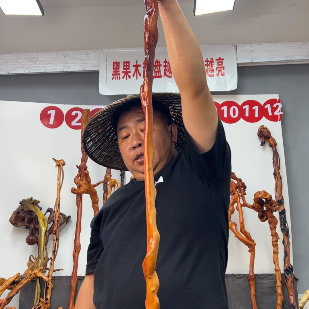 快***生黑果木其他黑果木108