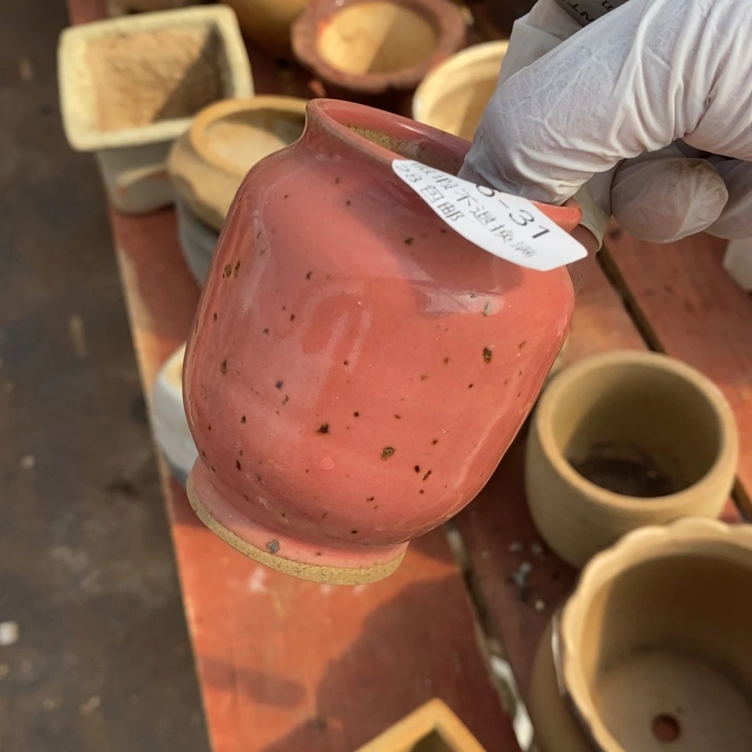 红陶奇*31号多肉盆一个呀