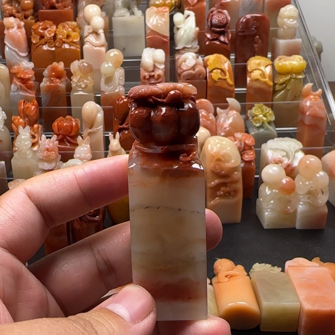 老挝石南瓜  2.3×7.5