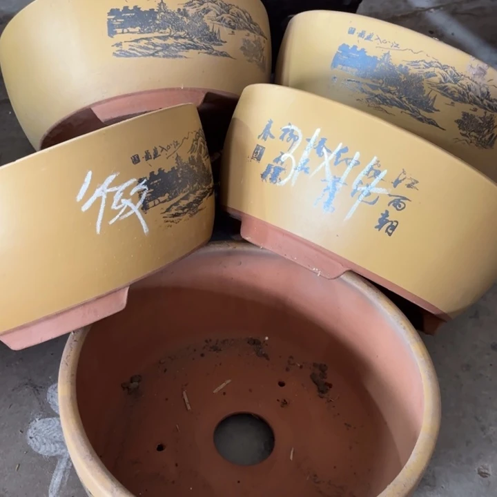 花盆紫砂100-5。       31-14