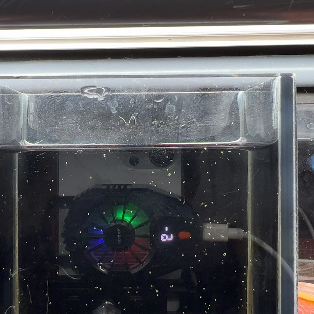 老***王孔雀鱼幻彩粉猫一对