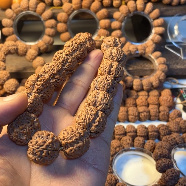 金刚菩提手串古龙闷墩