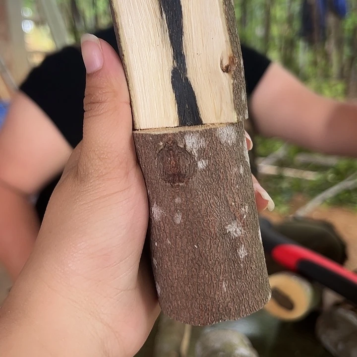 线香奇楠沉香原木