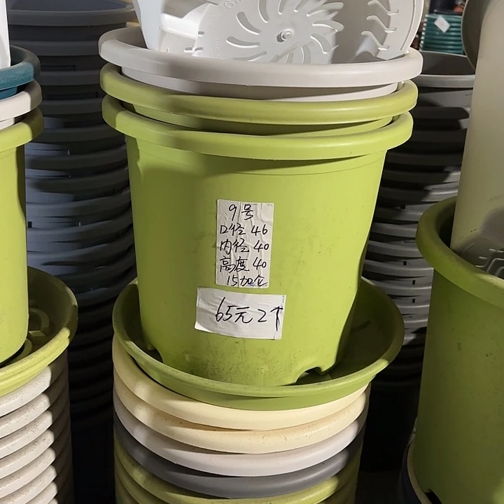 微瑕9#口径46无托果绿3个