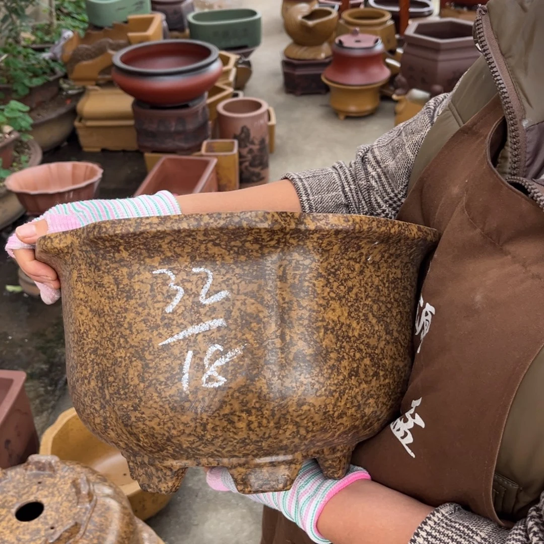 花盆紫砂盆景艺术