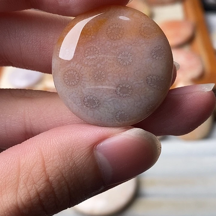 T***y硅化玉未镶嵌颈饰