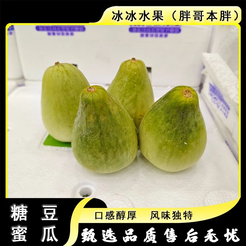 【原箱】[Y]糖豆蜜瓜 箱/3斤左右 仅限太原晋中吕梁忻州可拍
