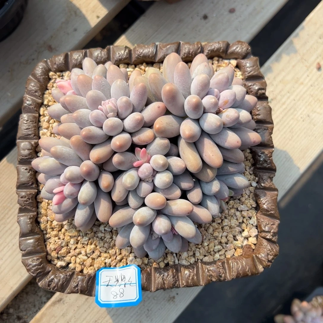 天*辉1111111111111111111111