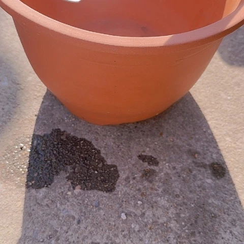 紫砂宜兴紫砂素面小马26