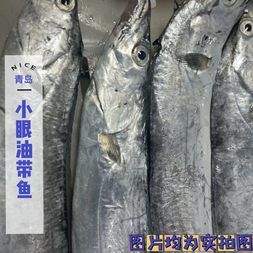 青岛发货 整条油带鱼 去内脏 4斤顺丰包邮