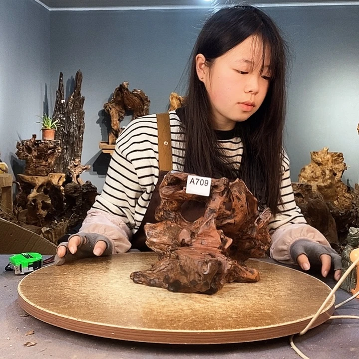 茶盏年**子709株木底座随行根艺