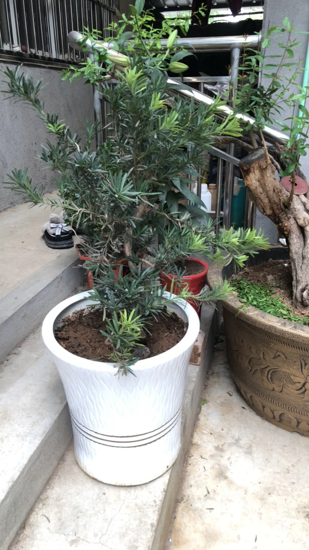 一物一拍 实物为准 直播间下单