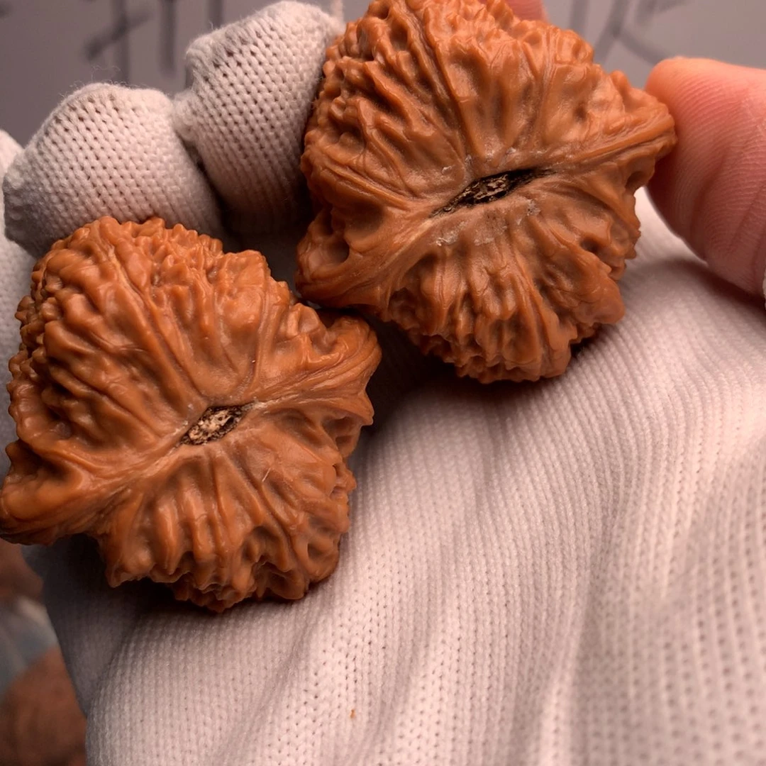 绎***菲南疆49万平方公里以上海域出现