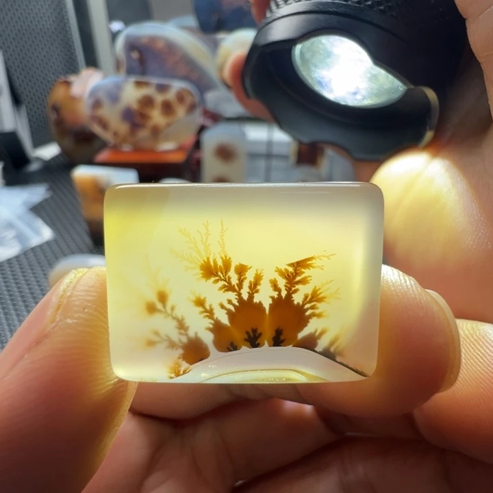 未镶嵌玛瑙/玉髓珠宝奇石