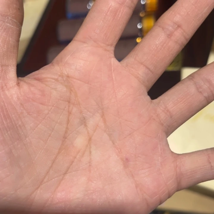 宝***粑————————————————紫砂