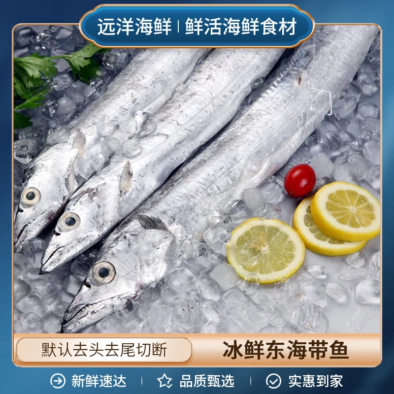 冰鲜东海整条带鱼B级 一条约350g-500g带鱼同城送
