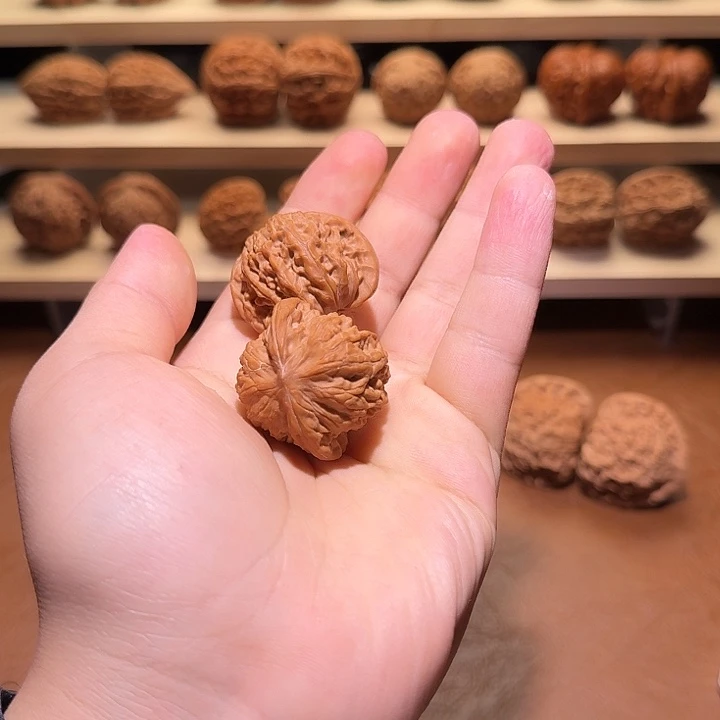 34➕全品正磨牛热场