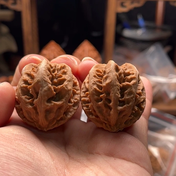 文玩核桃把件楸大胖29