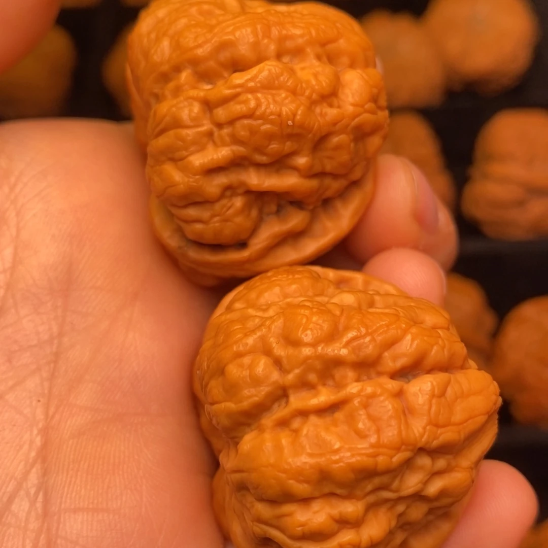 秦岭野生文玩核桃