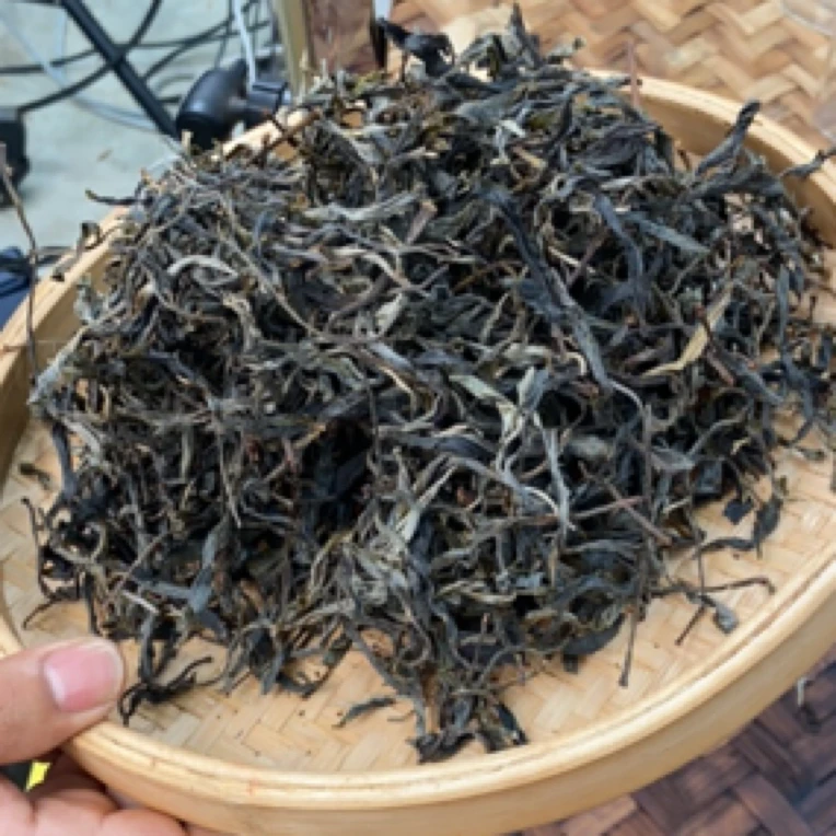 *2025年【懂过·古树·春】晒青茶【生散茶】-5月27日【04】