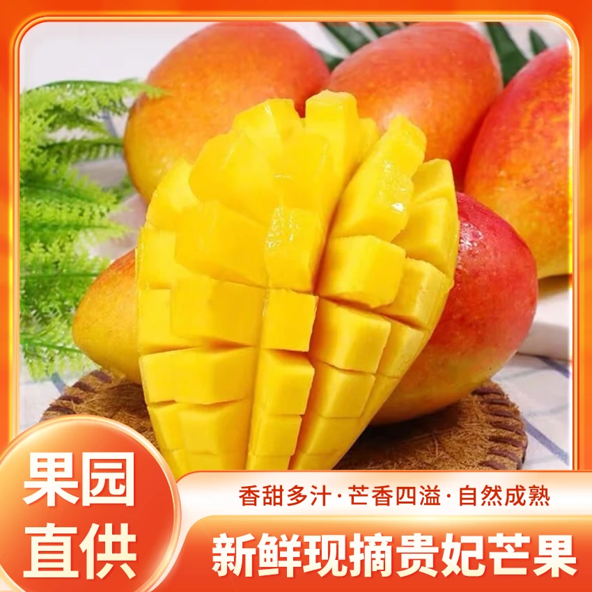a海南农家贵妃芒果5斤新鲜采摘香甜多汁孕妇水果红金龙芒果