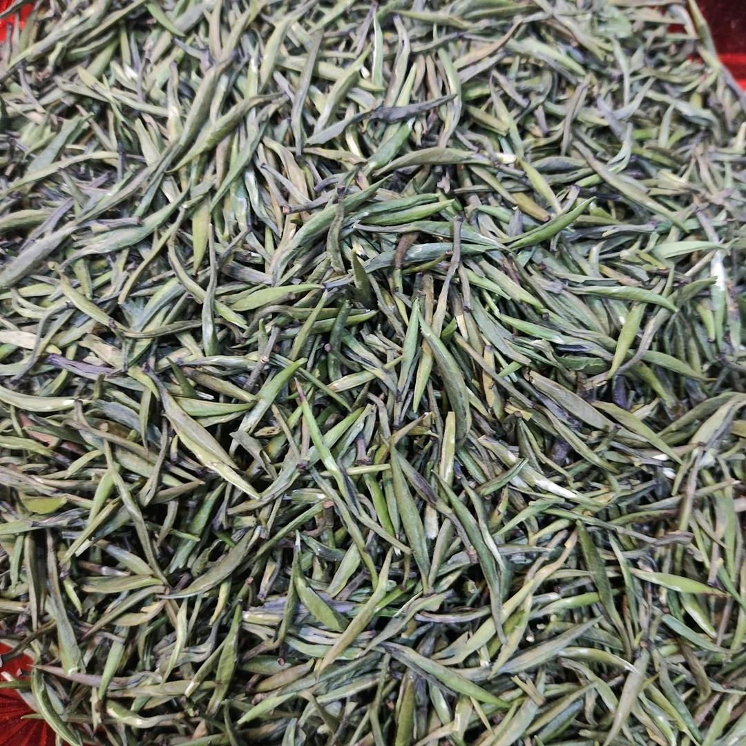 绿茶毛尖2025新茶春茶