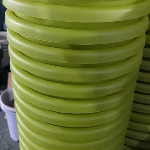 树脂四季3号果绿带托10套特价