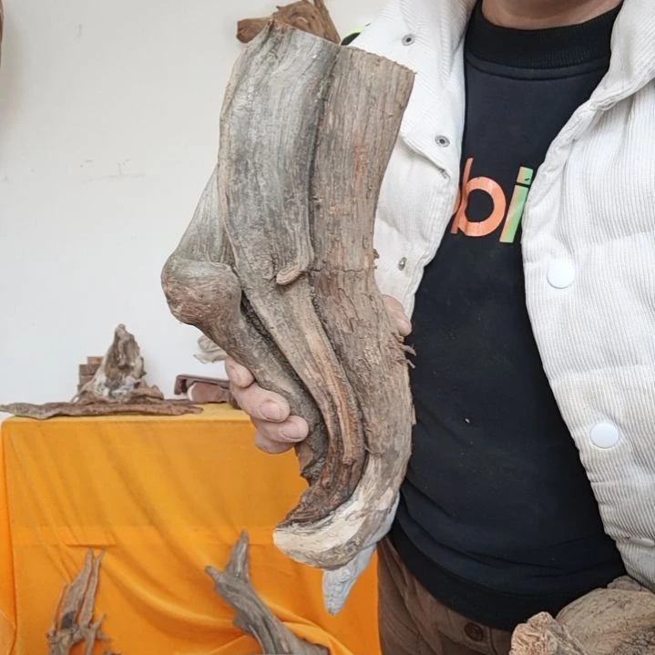 风车木（黑檀木）·**·